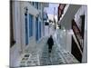 Woman Walking Down an Alley, Mykonos Town, Mykonos, Greece-Doug Pearson-Mounted Photographic Print