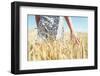 Woman Walking in the Wheat- Concept about Nature, Agriculture and People-Oneinchpunch-Framed Photographic Print