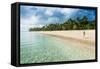 Woman Walking on a Palm Fringed White Sand Beach in Ha'Apai Islands, Tonga, South Pacific-Michael Runkel-Framed Stretched Canvas