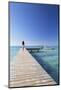 Woman Walking on Jetty, Hauru Point, Mo'Orea, Society Islands, French Polynesia (Mr)-Ian Trower-Mounted Photographic Print