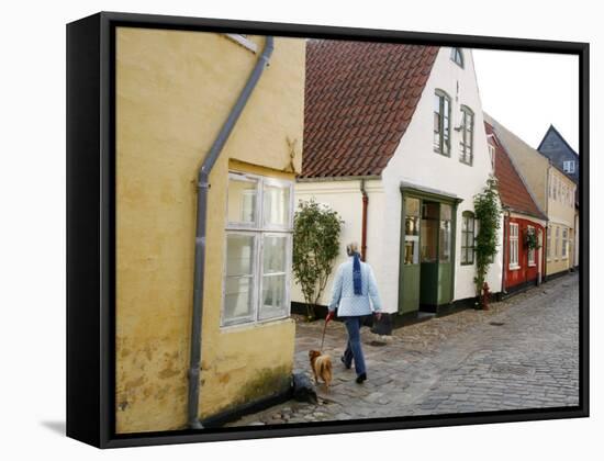 Woman Walking with a Dog in Ribe Historic Center, Ribe, Jutland, Denmark, Scandinavia, Europe-Yadid Levy-Framed Stretched Canvas