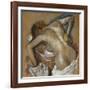 Woman Washing Her Back with a Sponge; Femme S'Epongeant Le Dos-Edgar Degas-Framed Giclee Print