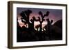 Woman Watching Sunset-Colin Brynn-Framed Photographic Print