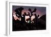 Woman Watching Sunset-Colin Brynn-Framed Photographic Print