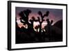 Woman Watching Sunset-Colin Brynn-Framed Photographic Print