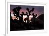 Woman Watching Sunset-Colin Brynn-Framed Photographic Print