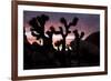 Woman Watching Sunset-Colin Brynn-Framed Photographic Print