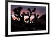 Woman Watching Sunset-Colin Brynn-Framed Photographic Print