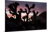 Woman Watching Sunset-Colin Brynn-Mounted Photographic Print