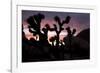 Woman Watching Sunset-Colin Brynn-Framed Photographic Print