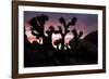 Woman Watching Sunset-Colin Brynn-Framed Photographic Print