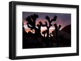 Woman Watching Sunset-Colin Brynn-Framed Photographic Print