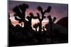 Woman Watching Sunset-Colin Brynn-Mounted Photographic Print