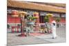 Woman Wearing Ao Dai Dress at Mieu Temple Inside Citadel, Hue, Thua Thien-Hue, Vietnam, Indochina-Ian Trower-Mounted Photographic Print