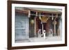 Woman Wearing Ao Dai Dress at Nghia an Hoi Quan Pagoda, Cholon, Ho Chi Minh City, Vietnam-Ian Trower-Framed Photographic Print