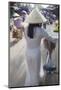 Woman Wearing Ao Dai Dress at Phouc Kien Assembly Hall, Hoi An, Quang Nam, Vietnam, Indochina-Ian Trower-Mounted Photographic Print