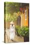 Woman Wearing Ao Dai Dress Walking Along Street, Hoi An, Quang Ham, Vietnam-Ian Trower-Stretched Canvas