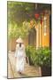 Woman Wearing Ao Dai Dress Walking Along Street, Hoi An, Quang Ham, Vietnam-Ian Trower-Mounted Photographic Print