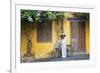 Woman Wearing Ao Dai Dress with Bicycle, Hoi An, Quang Ham, Vietnam-Ian Trower-Framed Photographic Print