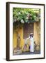 Woman Wearing Ao Dai Dress with Bicycle, Hoi An, Quang Ham, Vietnam-Ian Trower-Framed Photographic Print