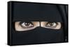 Woman wearing Islamic veil-Godong-Framed Stretched Canvas