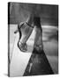 Woman Wearing Popular Style of Jeweled Evening Sandals-Nina Leen-Stretched Canvas
