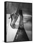 Woman Wearing Popular Style of Jeweled Evening Sandals-Nina Leen-Framed Stretched Canvas