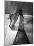 Woman Wearing Popular Style of Jeweled Evening Sandals-Nina Leen-Mounted Premium Photographic Print