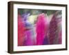 Woman Wearing Saris, Udaipur, Rajasthan, India-Walter Bibikow-Framed Photographic Print