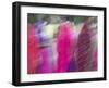 Woman Wearing Saris, Udaipur, Rajasthan, India-Walter Bibikow-Framed Photographic Print