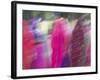 Woman Wearing Saris, Udaipur, Rajasthan, India-Walter Bibikow-Framed Photographic Print