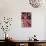 Woman Weaving at Backstrap Loom, Weaving Cooperative, Chinchero, Peru-Merrill Images-Stretched Canvas displayed on a wall