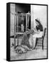 Woman Weaving with Straw on a Hand Loom, Fiesole, Near Florence, Italy, 1936-Donald Mcleish-Framed Stretched Canvas