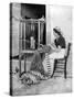 Woman Weaving with Straw on a Hand Loom, Fiesole, Near Florence, Italy, 1936-Donald Mcleish-Stretched Canvas