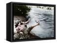 Canvas Black