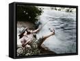 Canvas Black