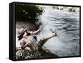 Canvas Black