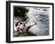 Black Frame