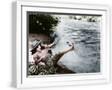 White Frame