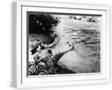 White Frame