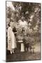 Woman with a Dog in a Garden-null-Mounted Photographic Print