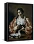 Woman with a Dove, Early 17th Century-Cecco Del Caravaggio-Framed Stretched Canvas