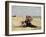 Woman with a Parasol on the Beach, 1880-Eug?ne Boudin-Framed Giclee Print