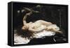 Woman with a Parrot-Gustave Courbet-Framed Stretched Canvas