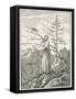 Woman with a Raven, on the Edge of a Precipice-Caspar David Friedrich-Framed Stretched Canvas