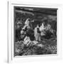 Woman with a Small Terrier Buying Bagels at a Market Stall, Possibly London, C.1945-50-null-Framed Giclee Print