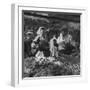 Woman with a Small Terrier Buying Bagels at a Market Stall, Possibly London, C.1945-50-null-Framed Giclee Print