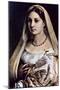 Woman with a Veil (La Donna Velat), 1512-13-Raphael-Mounted Giclee Print