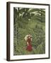 Woman with an Umbrella in an Exotic Forest-Henri Rousseau-Framed Giclee Print