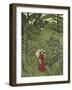 Woman with an Umbrella in an Exotic Forest-Henri Rousseau-Framed Giclee Print